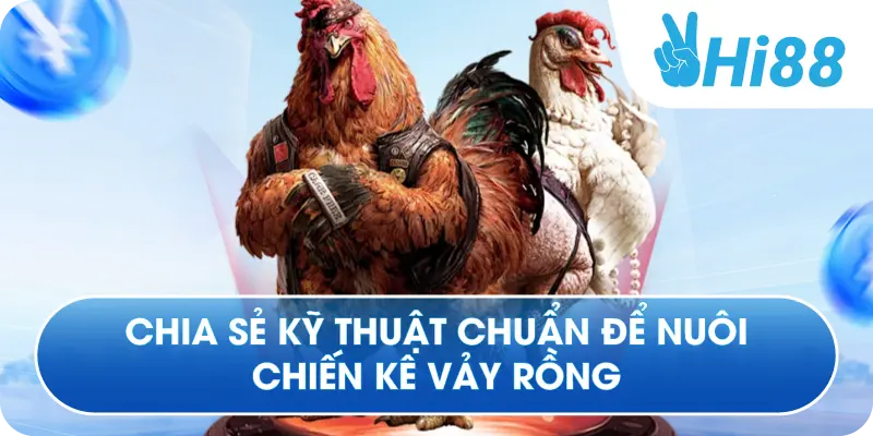 Chia sẻ kỹ thuật chuẩn để nuôi chiến kê vảy rồng