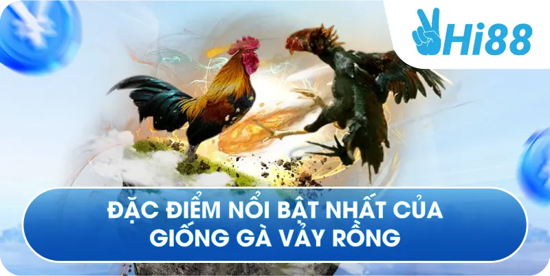 Đặc điểm nổi bật nhất của giống gà vảy rồng