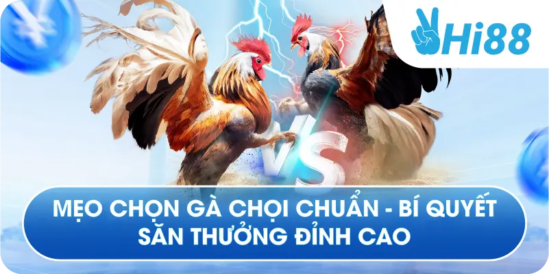 Mẹo Chọn Gà Chọi Chuẩn - Bí Quyết Săn Thưởng Đỉnh Cao